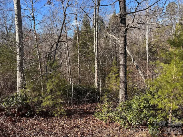 0 Rock Ledge Drive