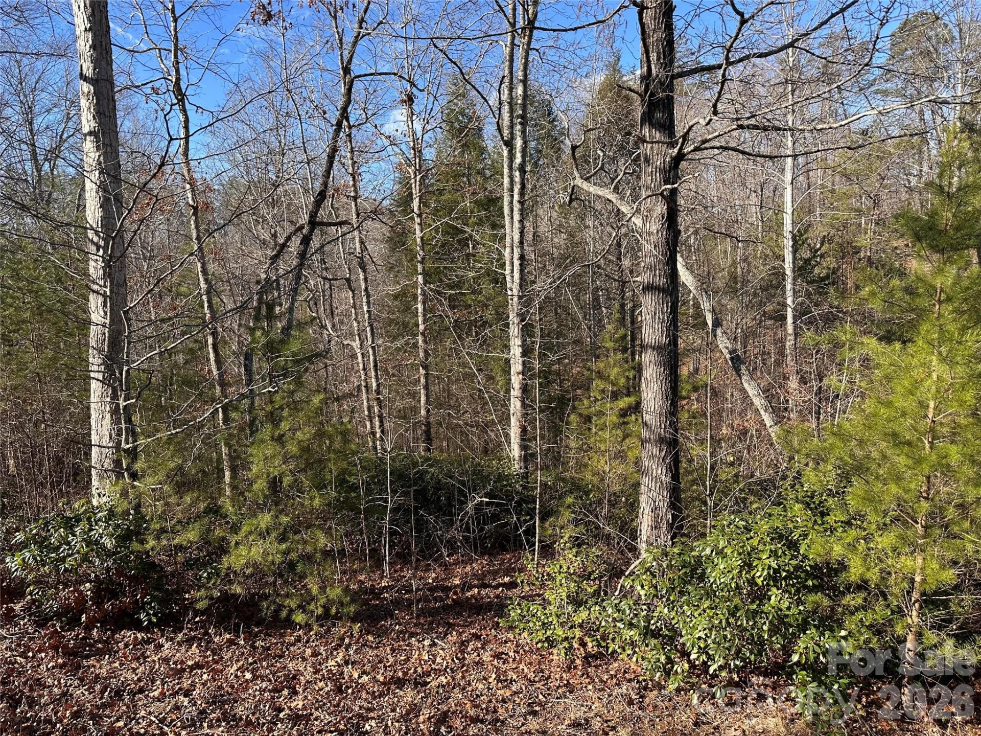 0 Rock Ledge Drive