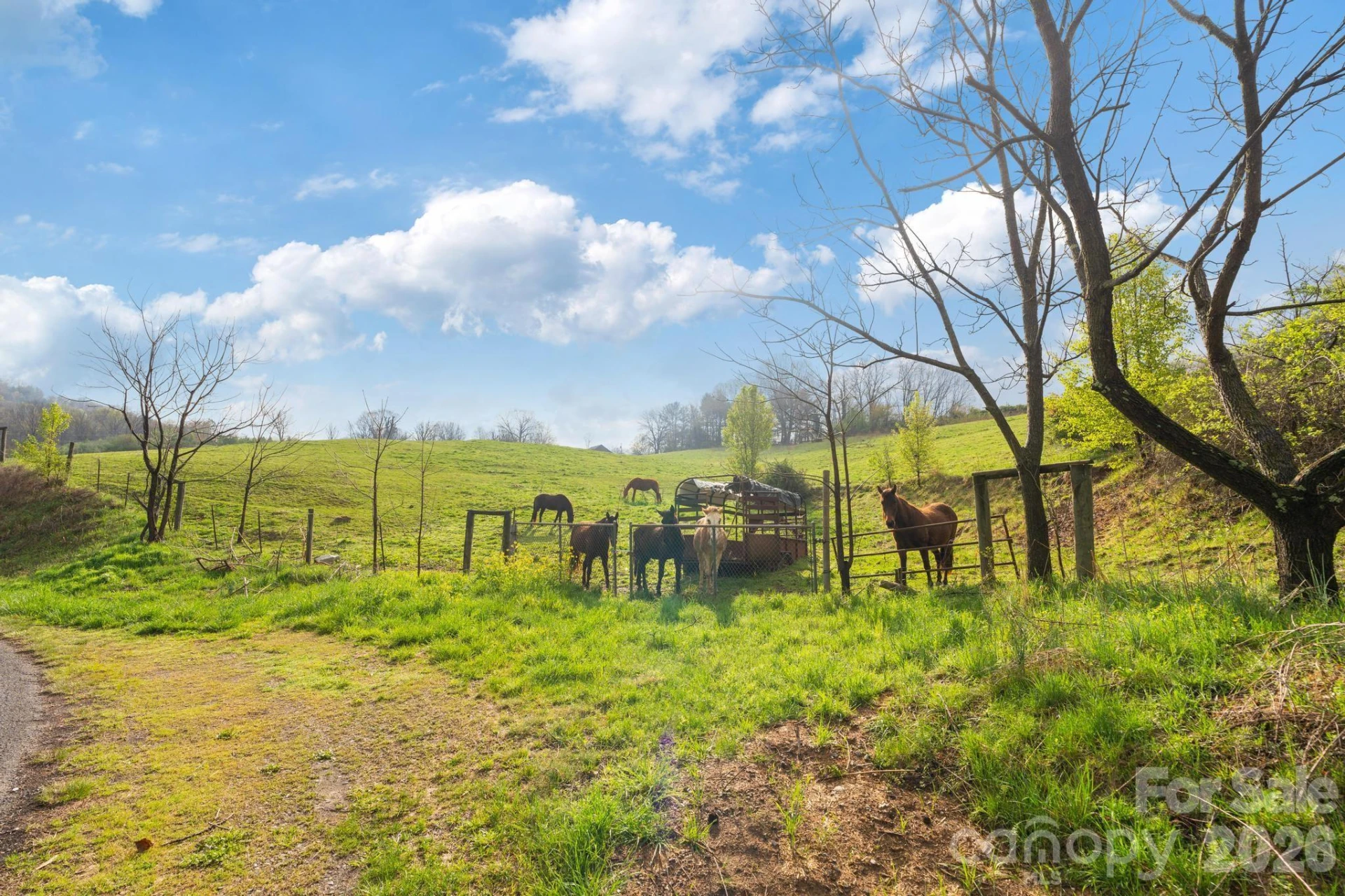 618 Beaverdam Street - Photo 10