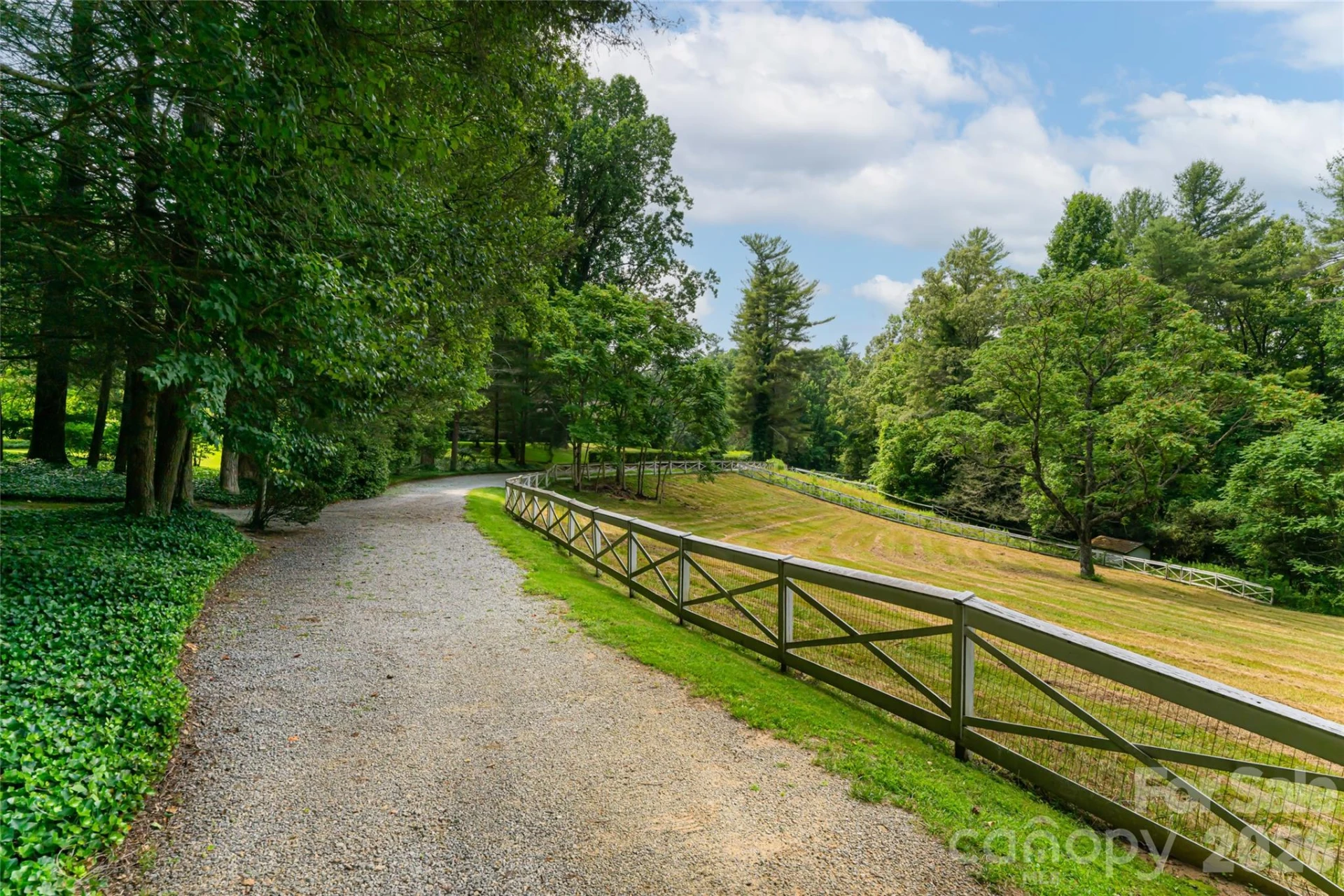 2531 Little River Road - Photo 48