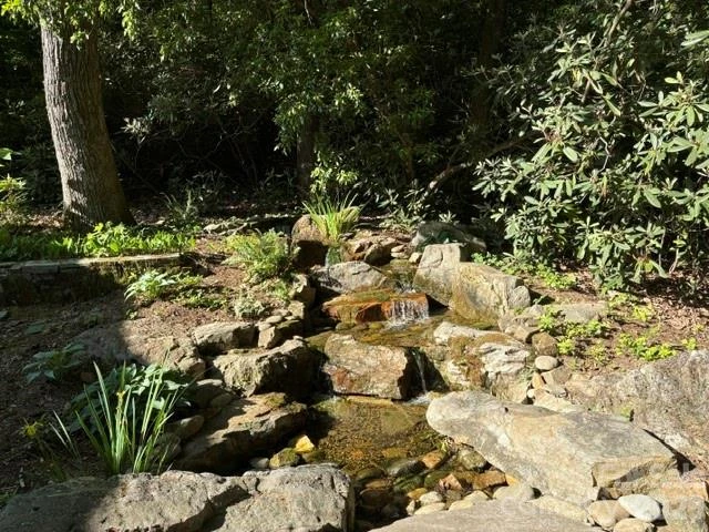 100 Elmridge Drive - Photo 6