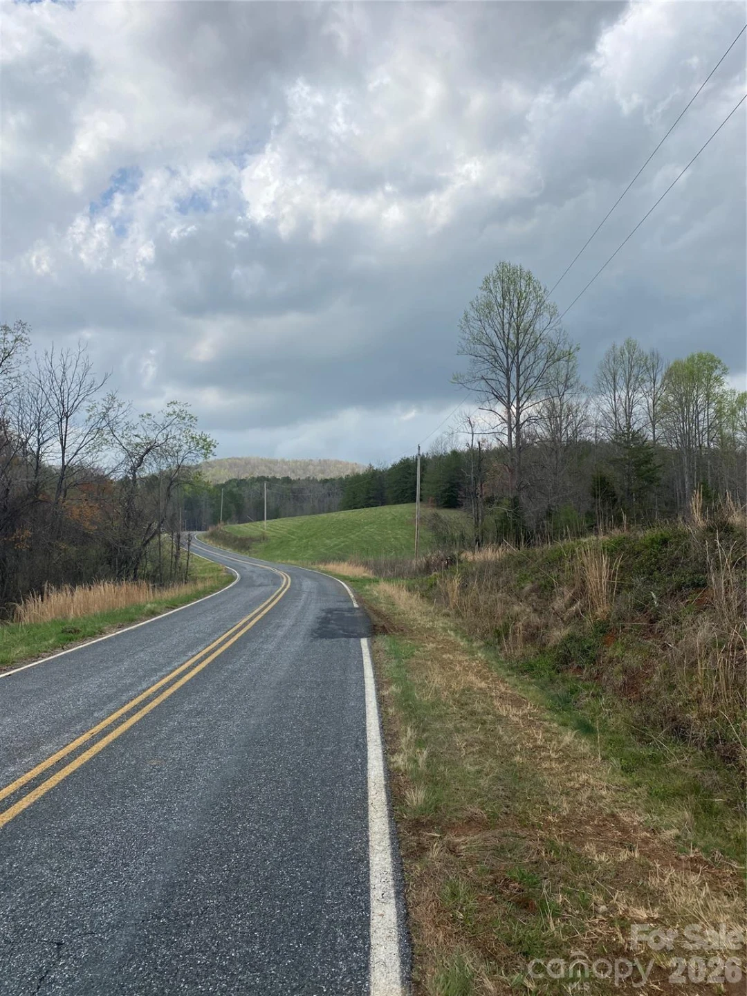 00 Cane Creek Mountain Road #2 - Photo 2
