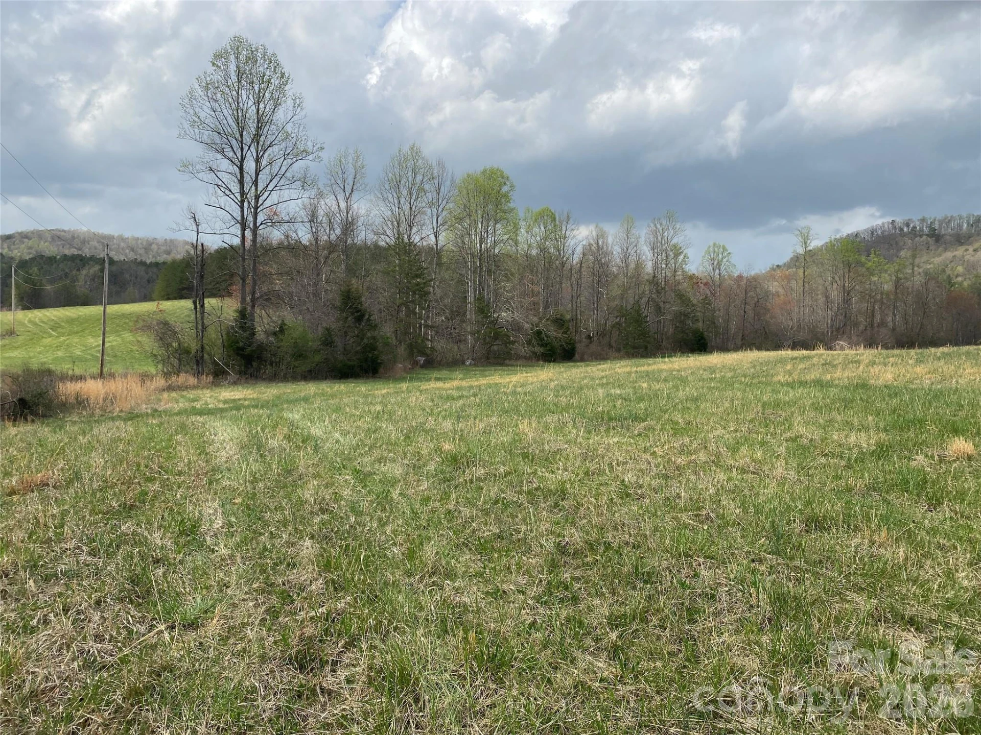 00 Cane Creek Mountain Road #2 - Photo 4