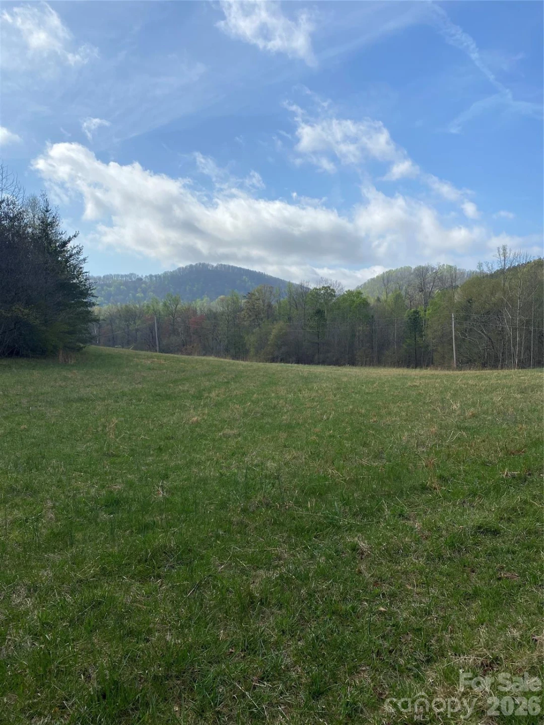 00 Cane Creek Mountain Road #1 - Photo 3
