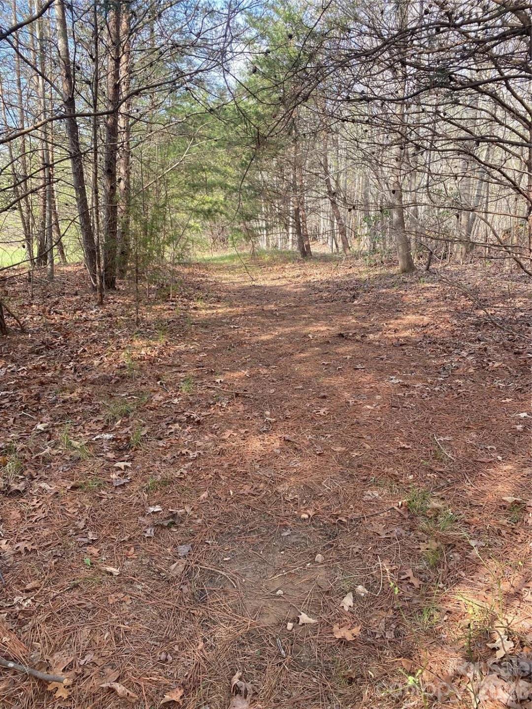 00 Cane Creek Mountain Road #1 - Photo 6