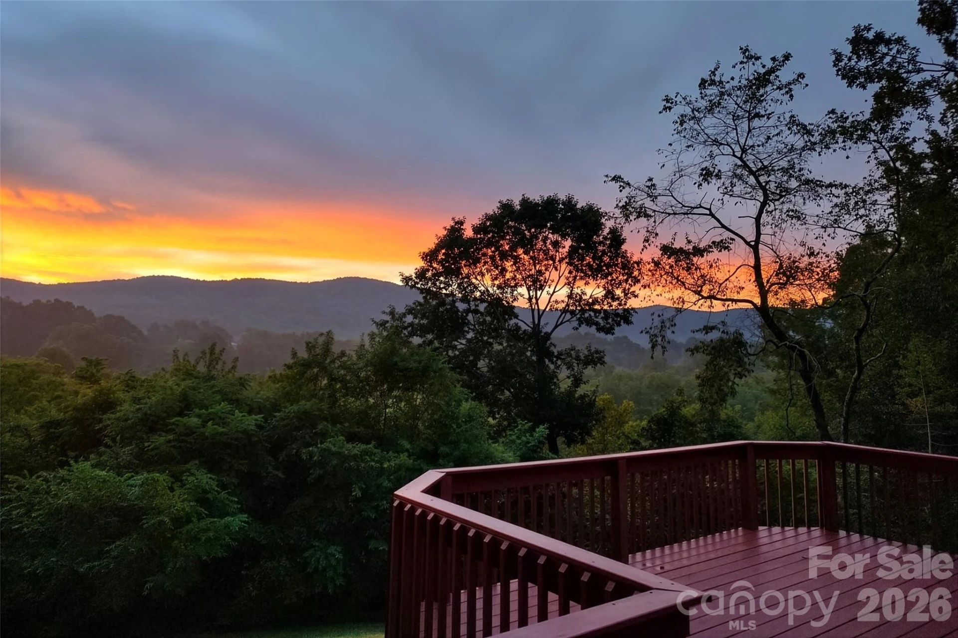 82 Landis Road - Photo 48