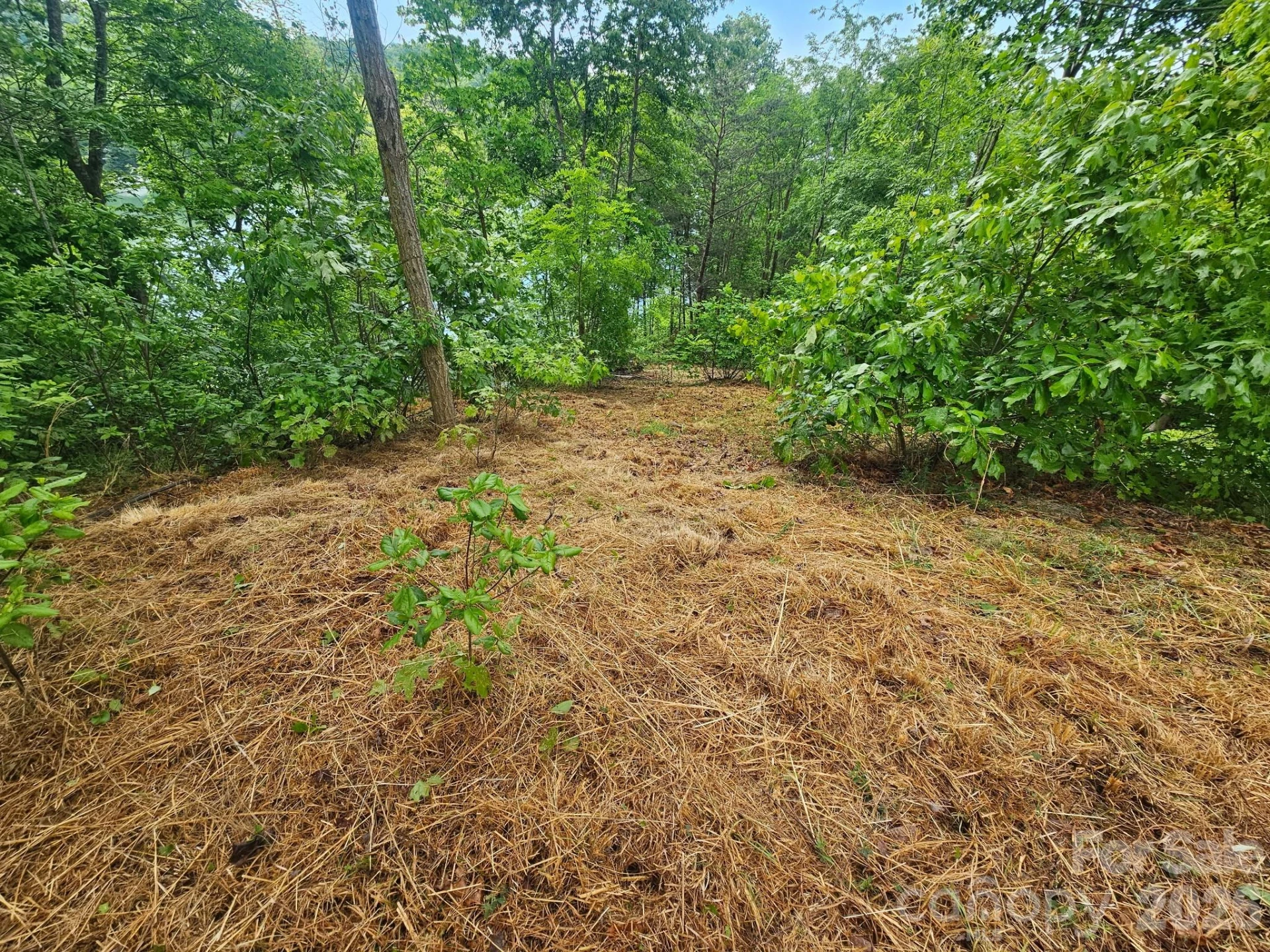 000 Holmstead Drive - Photo 13