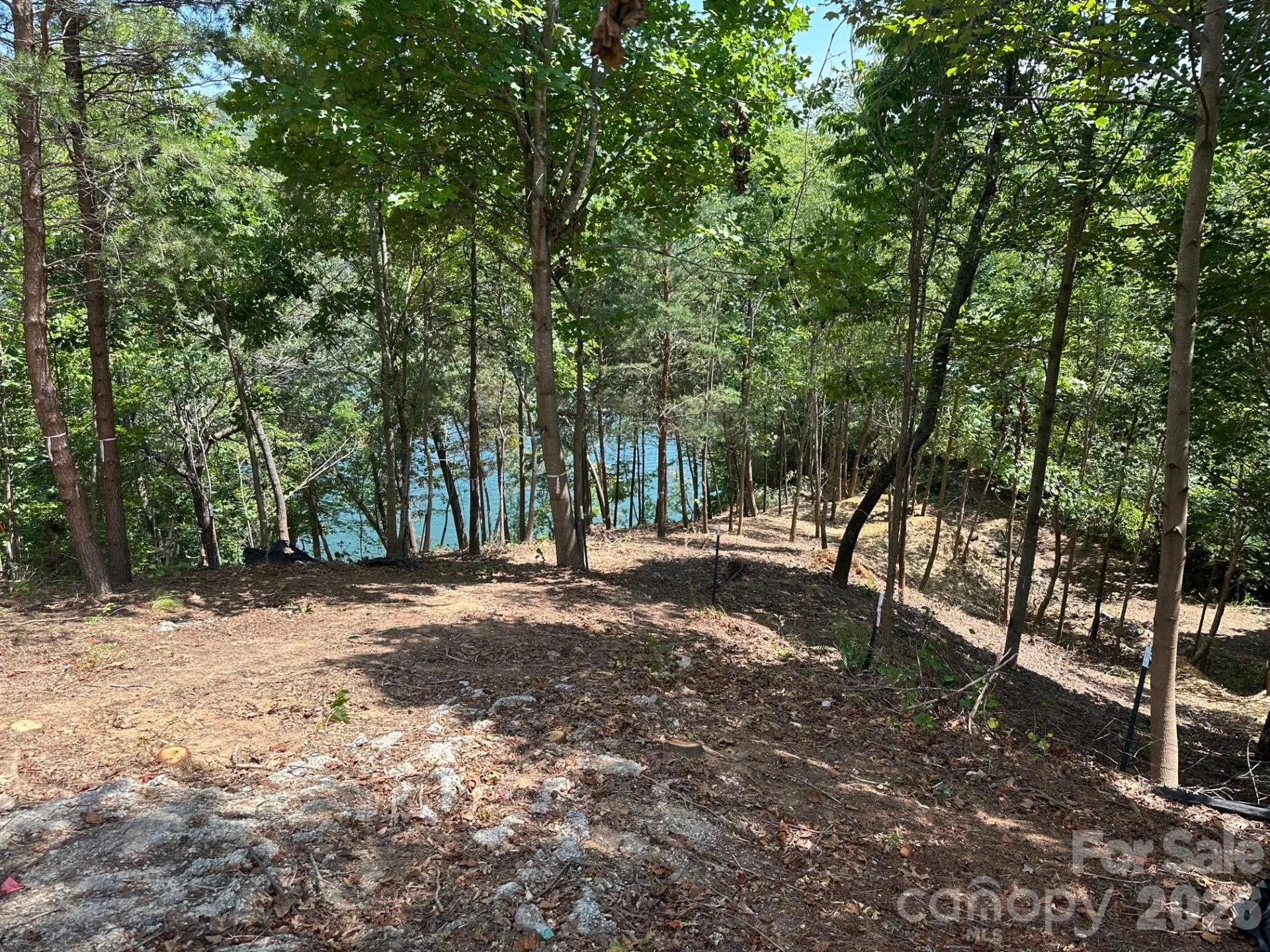 000 Holmstead Drive - Photo 15