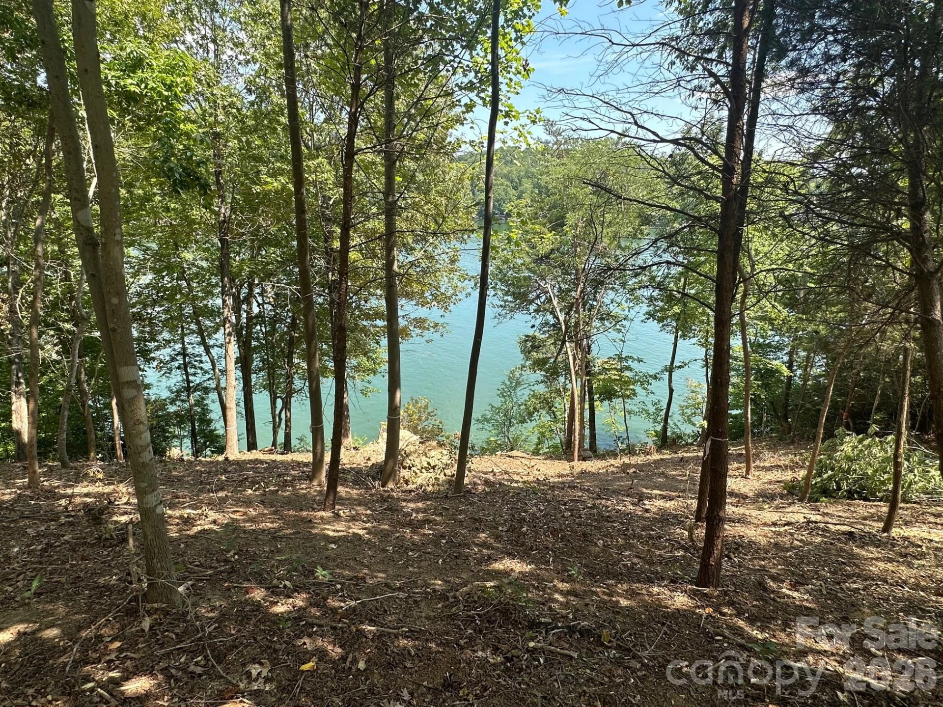 000 Holmstead Drive - Photo 16