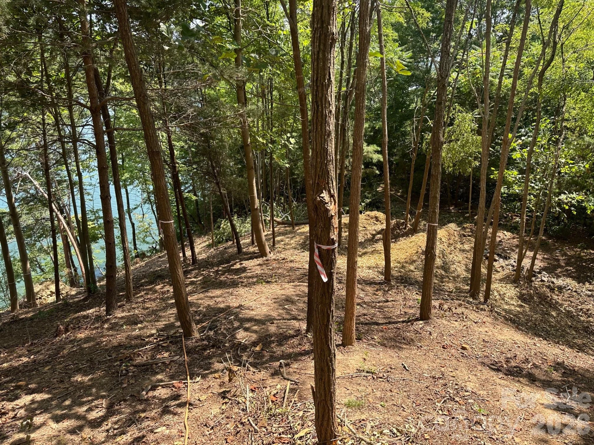 000 Holmstead Drive - Photo 17