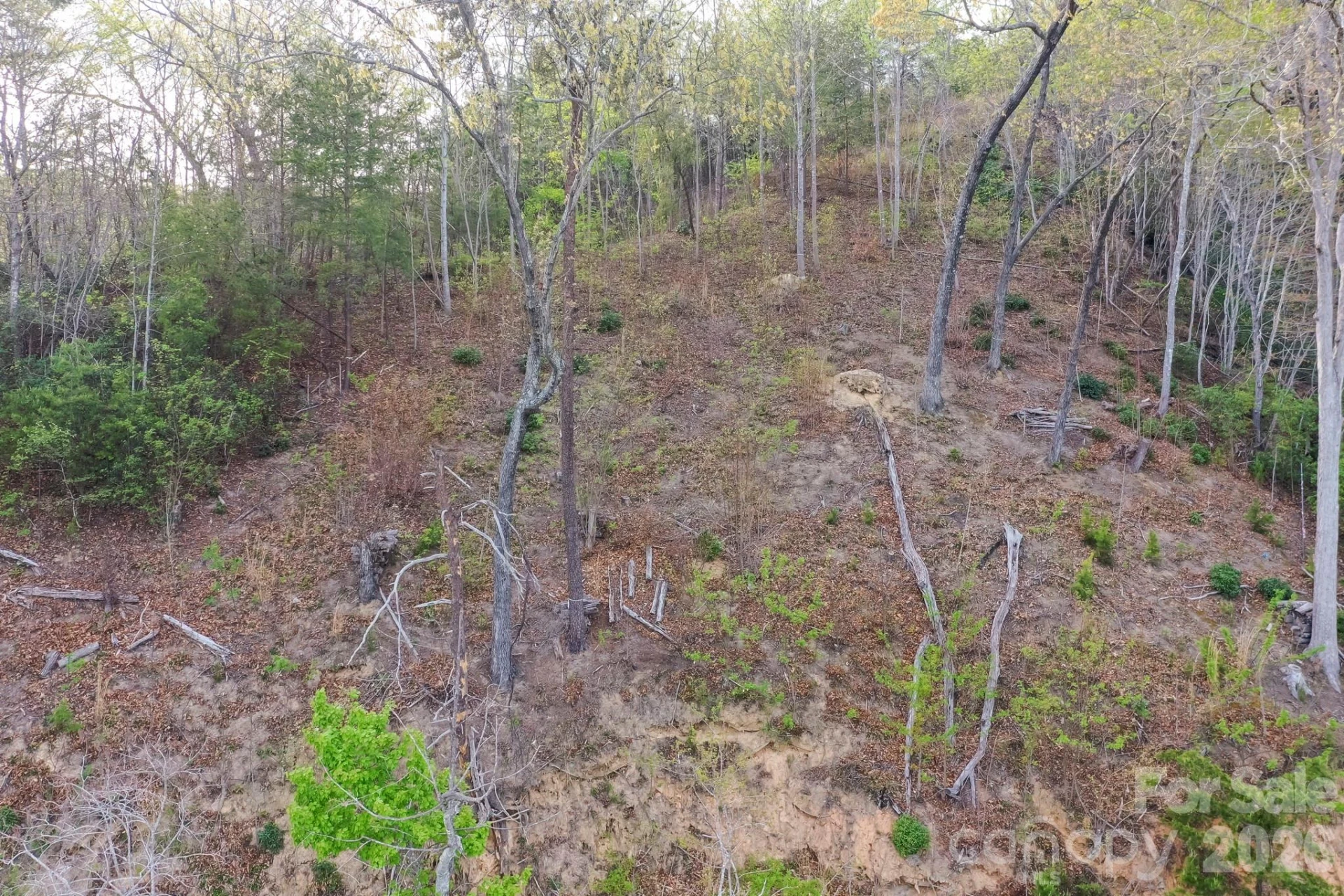 000 Holmstead Drive - Photo 22