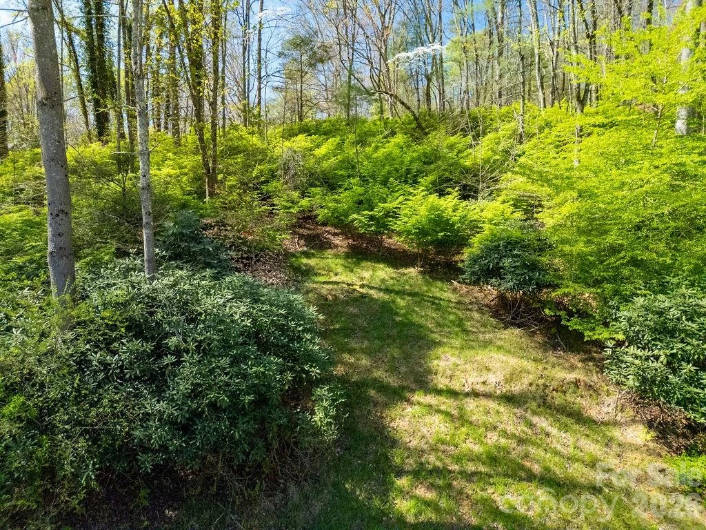 1482 Island Ford Road - Photo 40