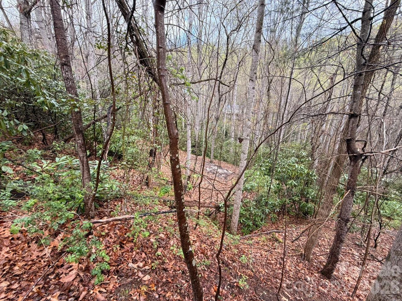 000 Ridgeview Drive - Photo 10