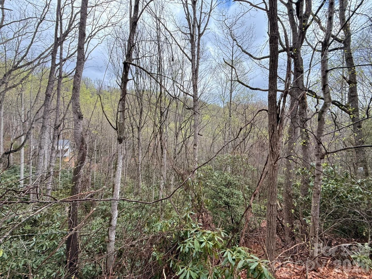 000 Ridgeview Drive - Photo 12