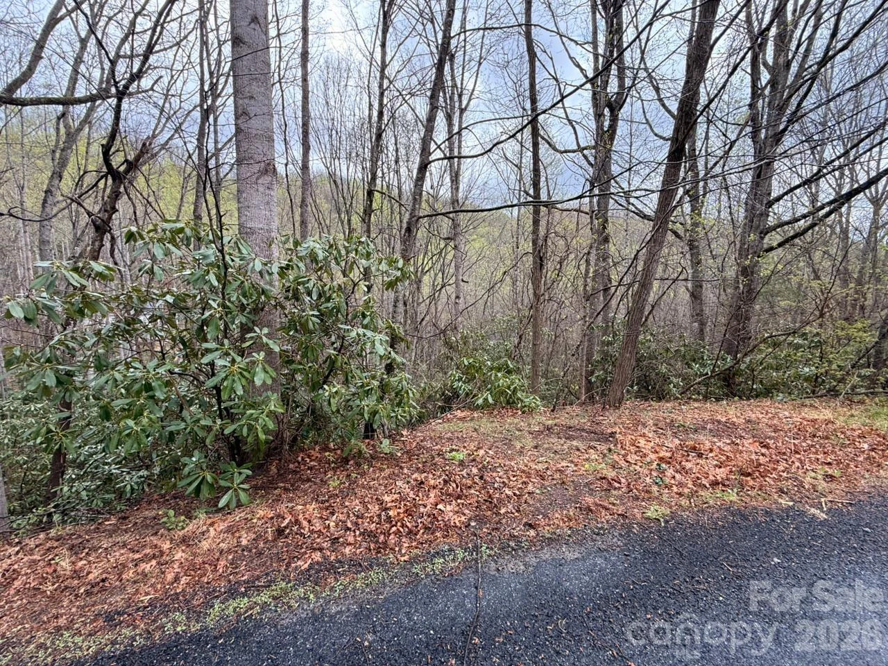 000 Ridgeview Drive - Photo 13