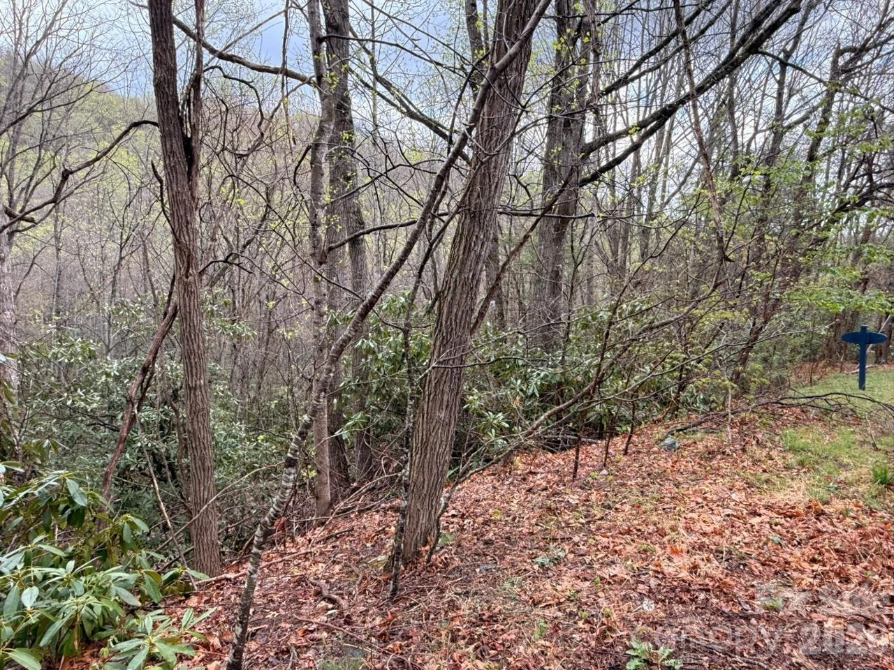 000 Ridgeview Drive - Photo 15