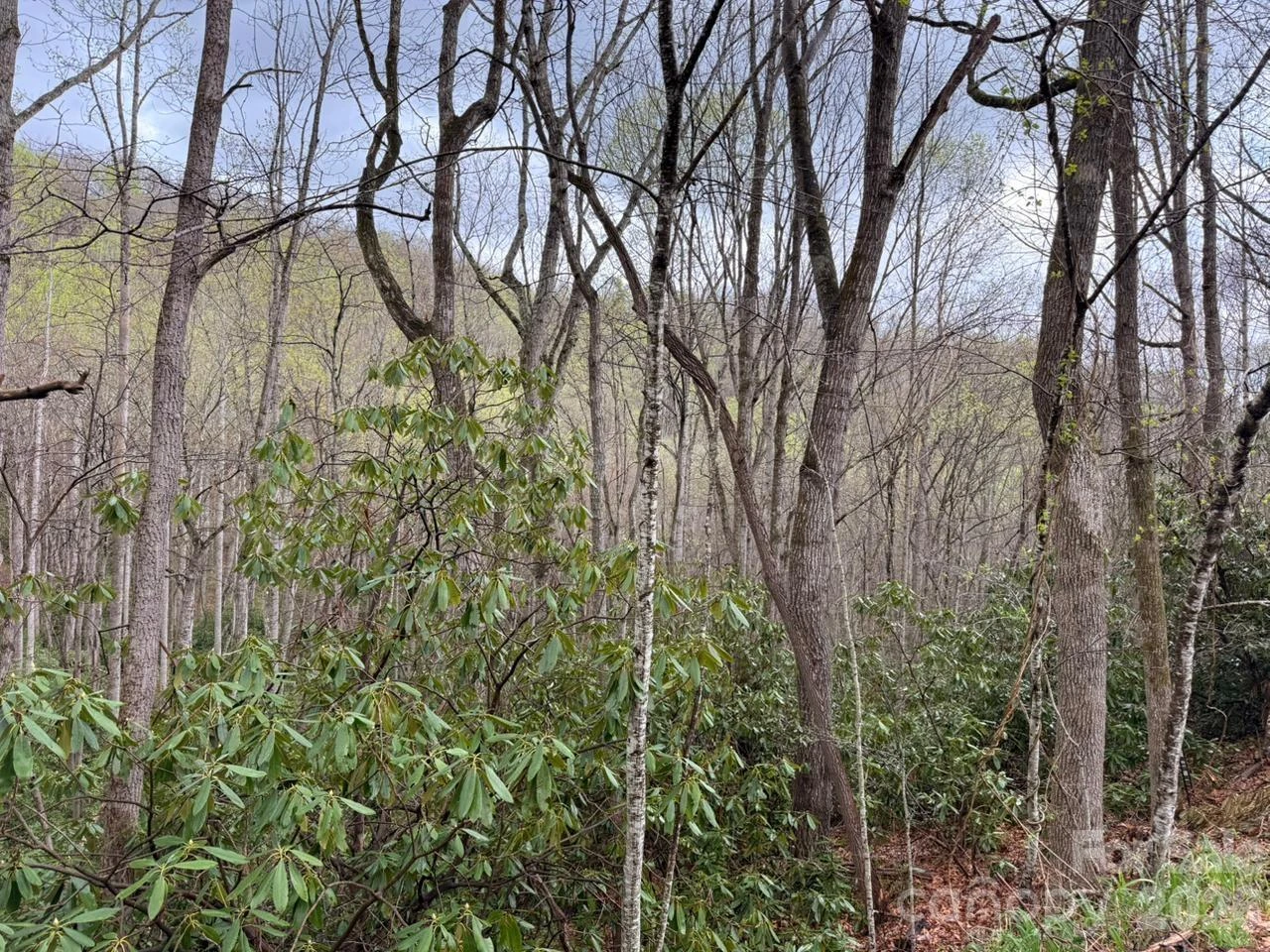 000 Ridgeview Drive - Photo 4