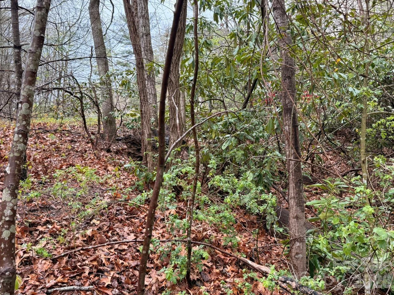 000 Ridgeview Drive - Photo 7