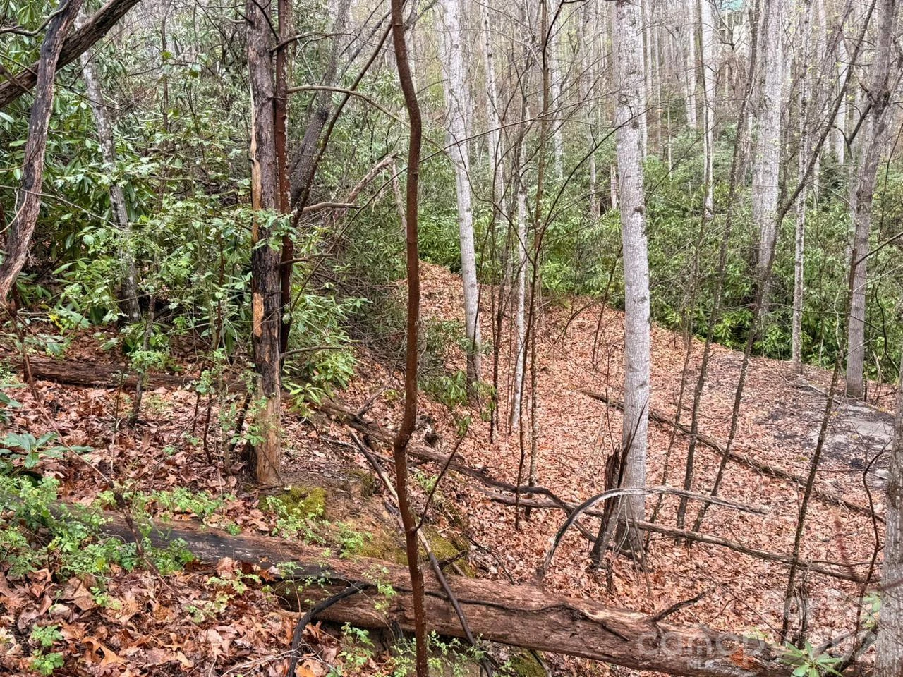 000 Ridgeview Drive - Photo 8