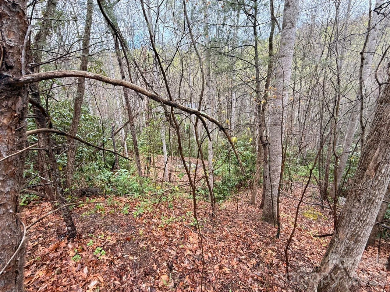 000 Ridgeview Drive - Photo 9