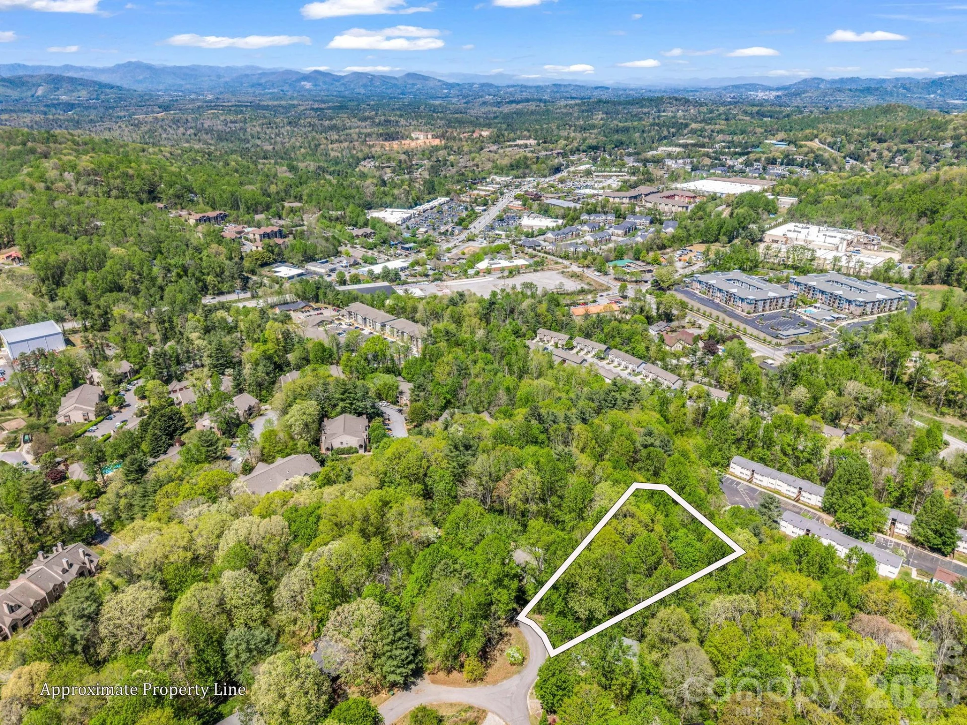 99999 Mountain Site Lane - Photo 2