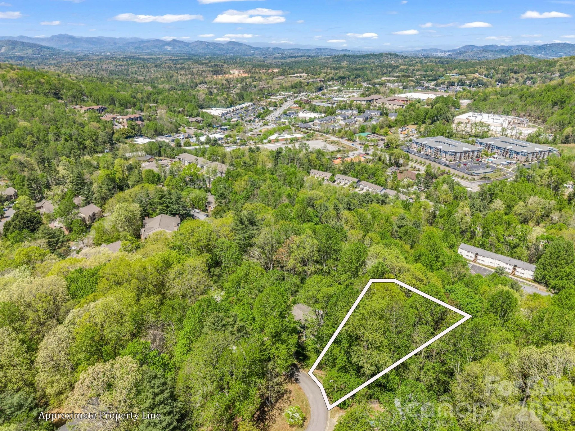 99999 Mountain Site Lane - Photo 4