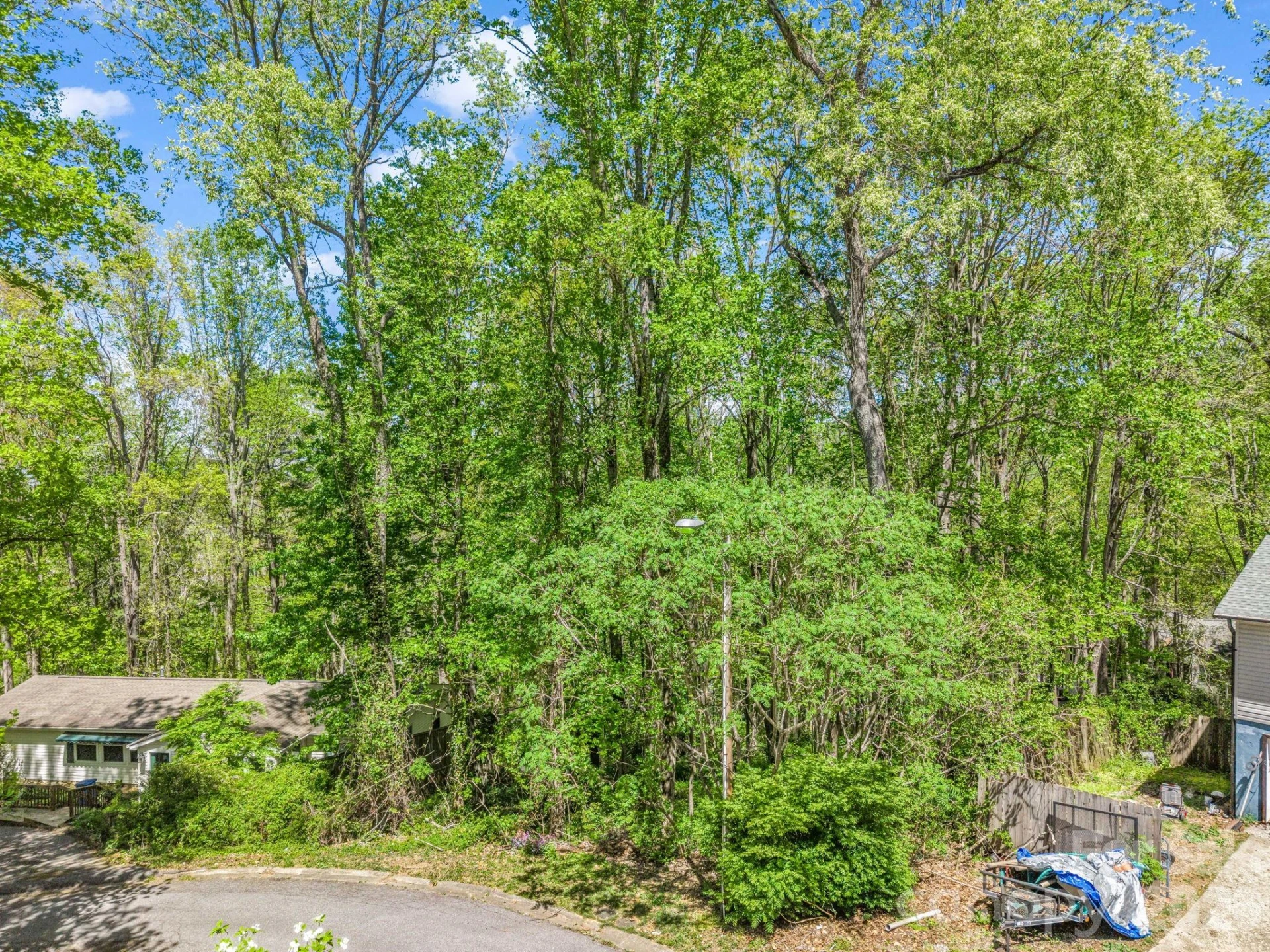 99999 Mountain Site Lane - Photo 5