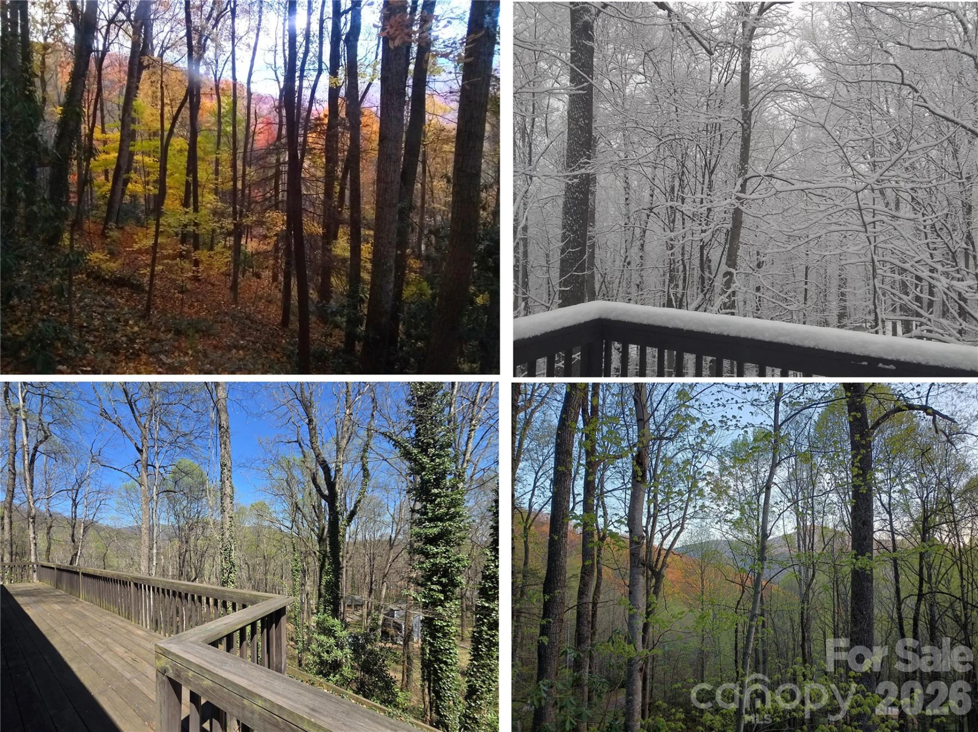 662 Locust Drive - Photo 28