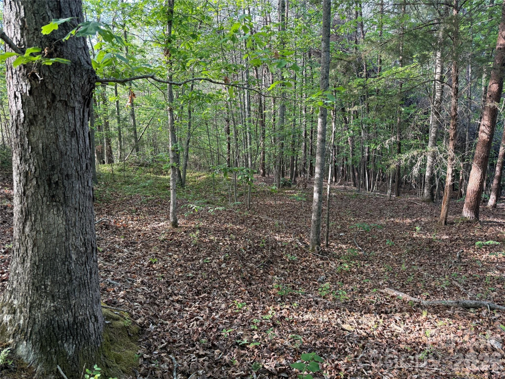0 Shenandoah Drive #3B - Photo 3