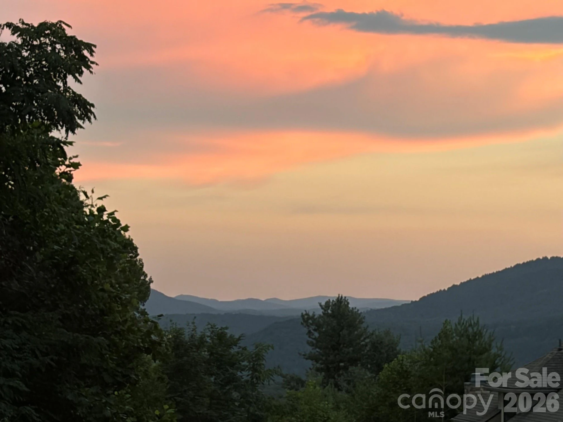 315 Crossvine Trail - Photo 4