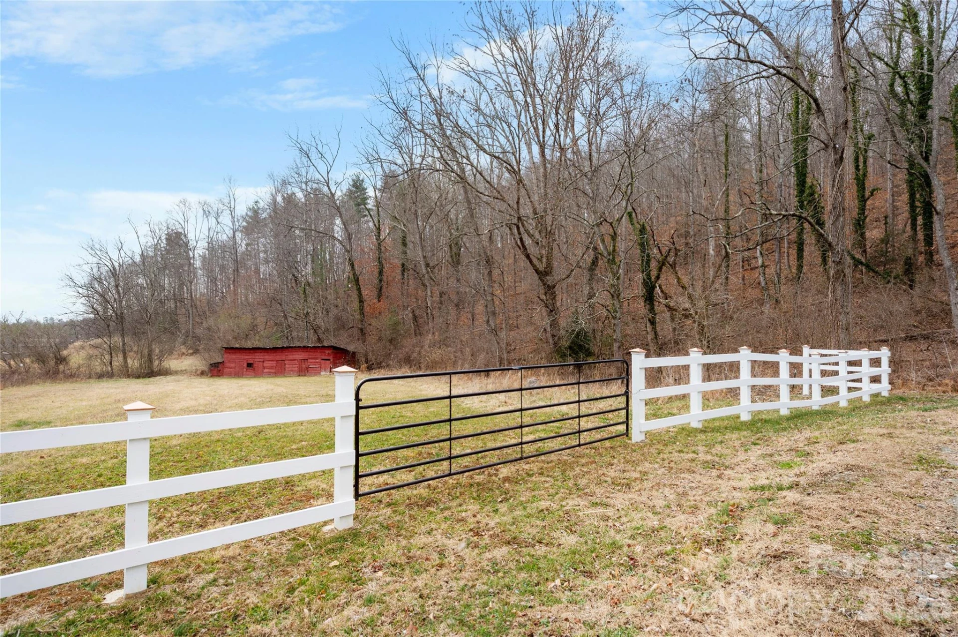 514 Roy Forrester Road - Photo 4