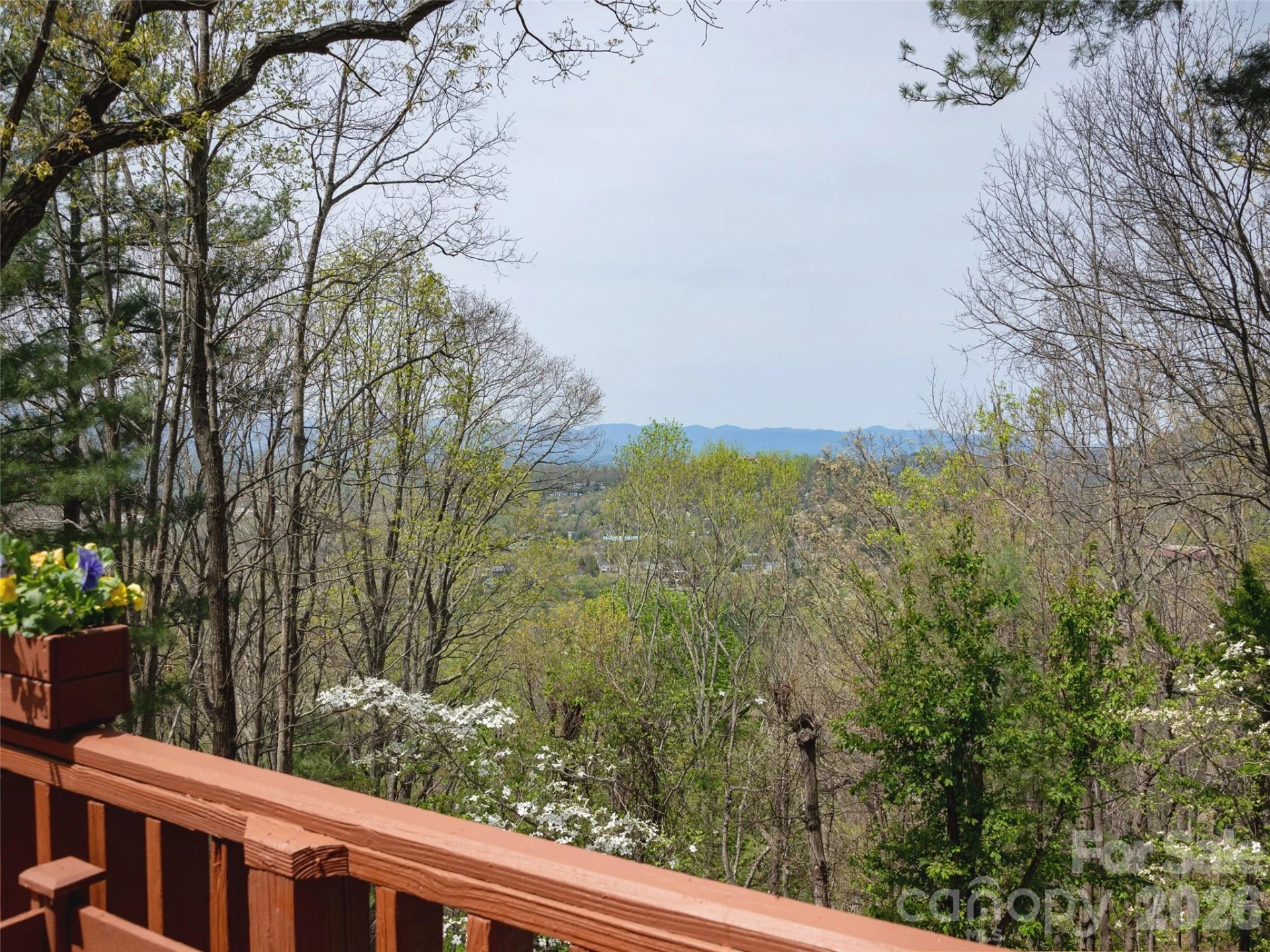 403 Cherokee Road - Photo 9