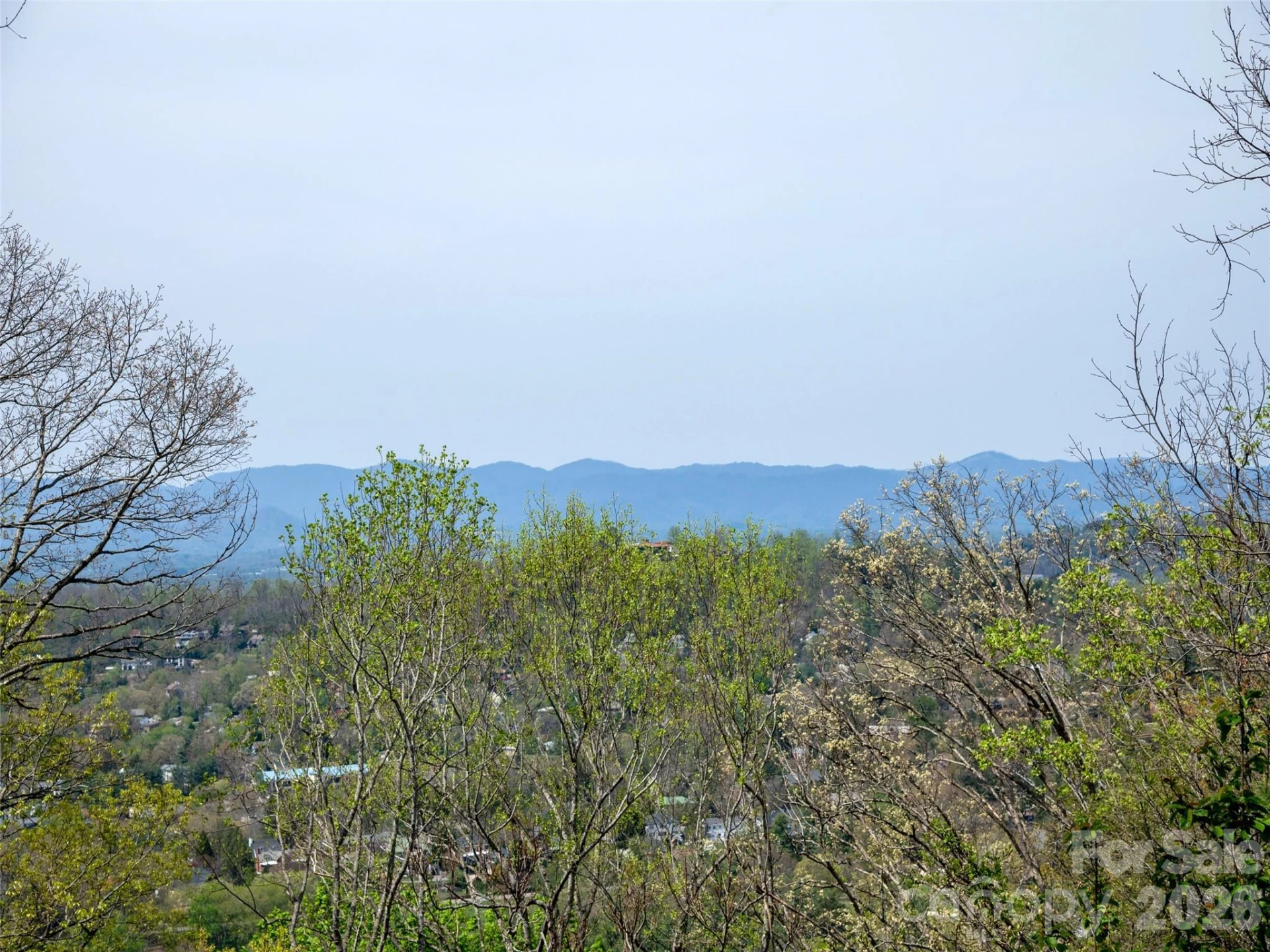 403 Cherokee Road - Photo 2