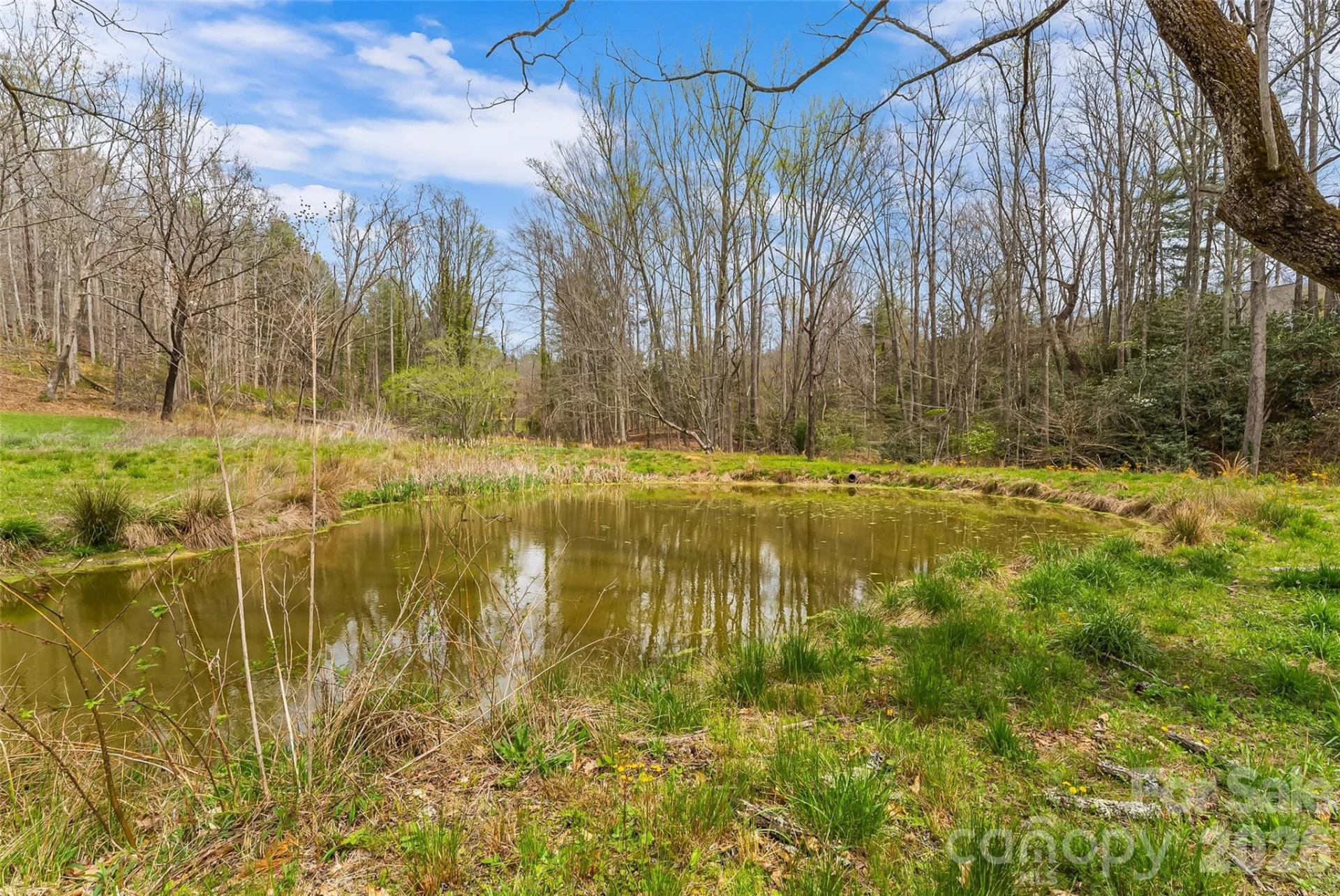 628 Brush Creek Road - Photo 5