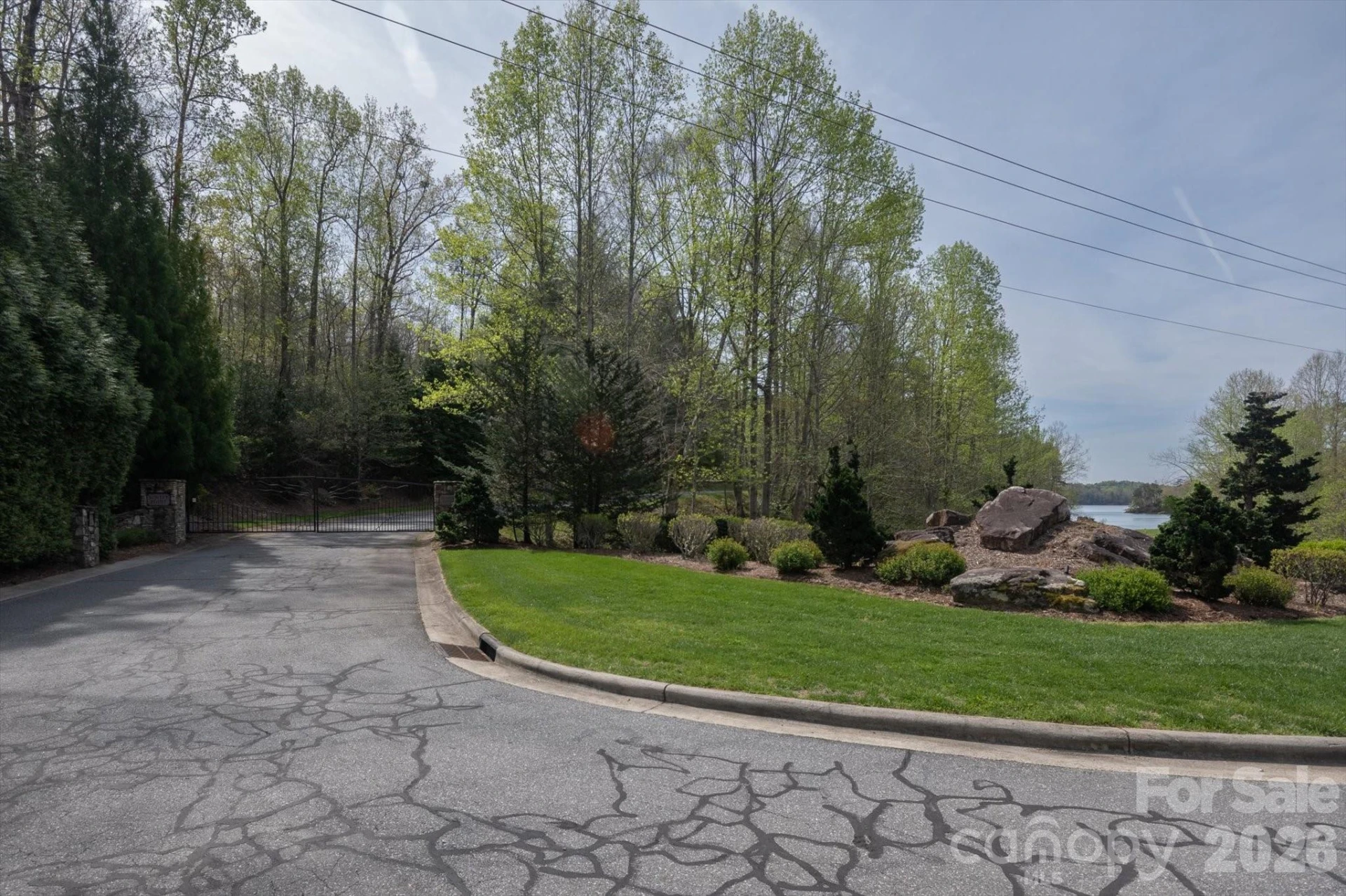 103 Big Tree Way - Photo 2