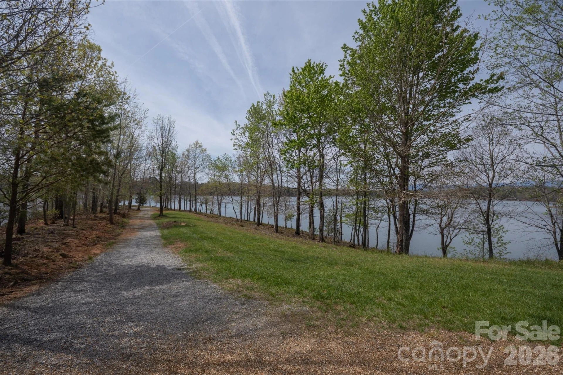 103 Big Tree Way - Photo 13