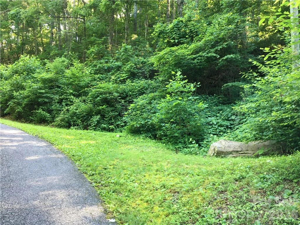 99999 Red Oak Forest Road - Photo 4