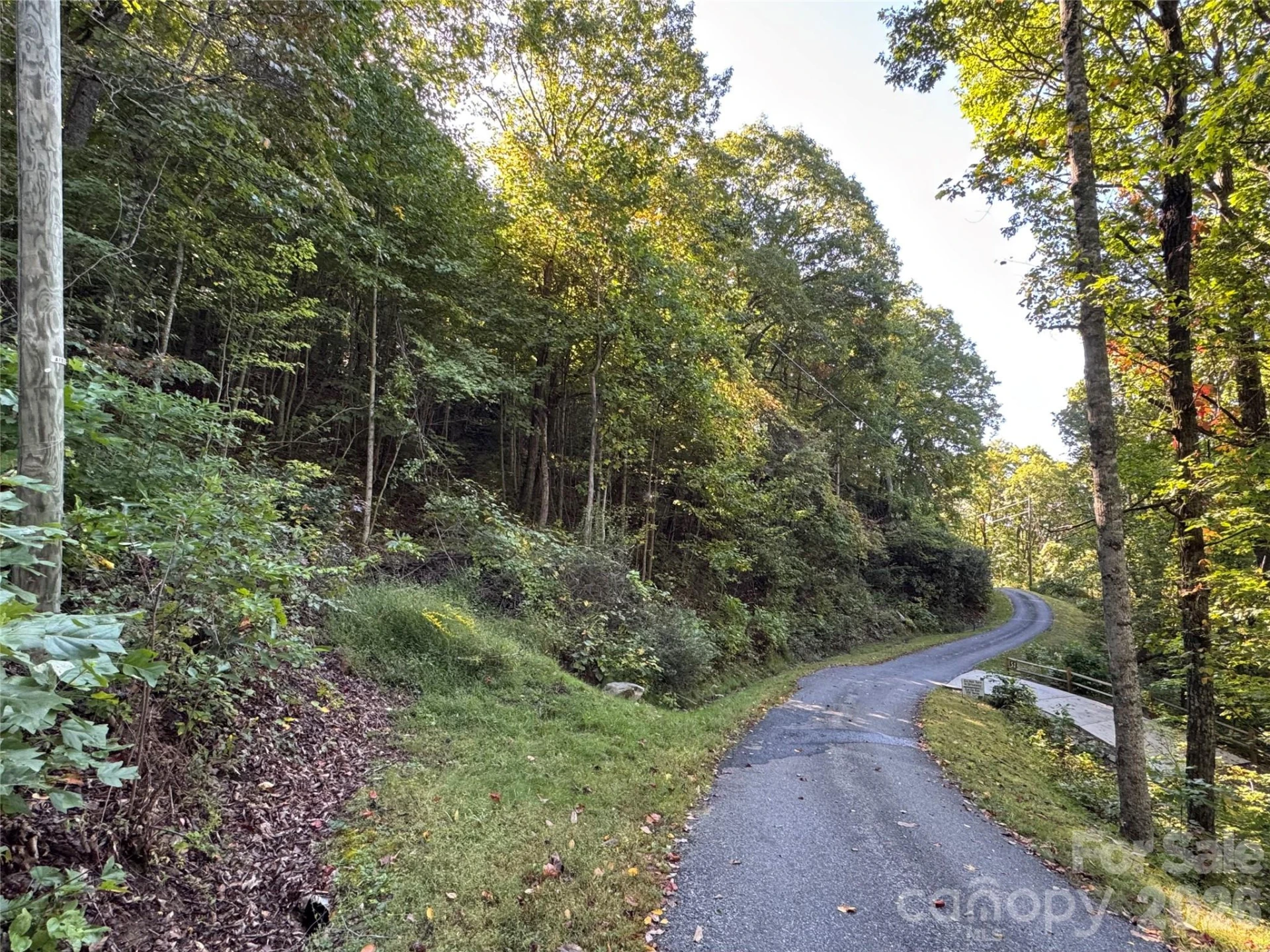 TBD Red Oak Forest Road - Photo 4