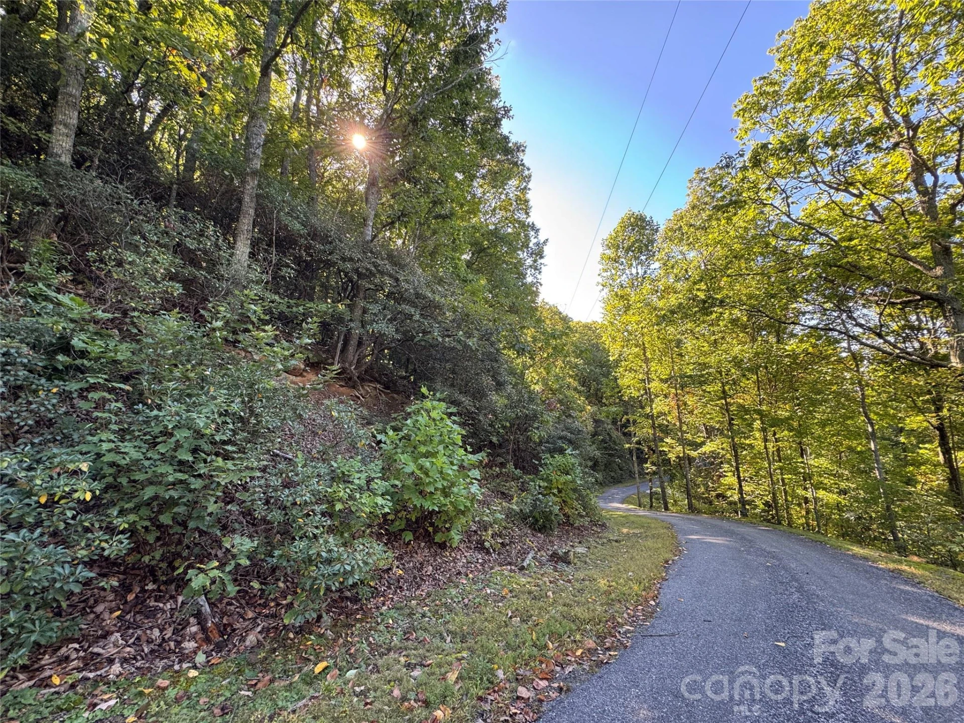 TBD Red Oak Forest Road - Photo 5
