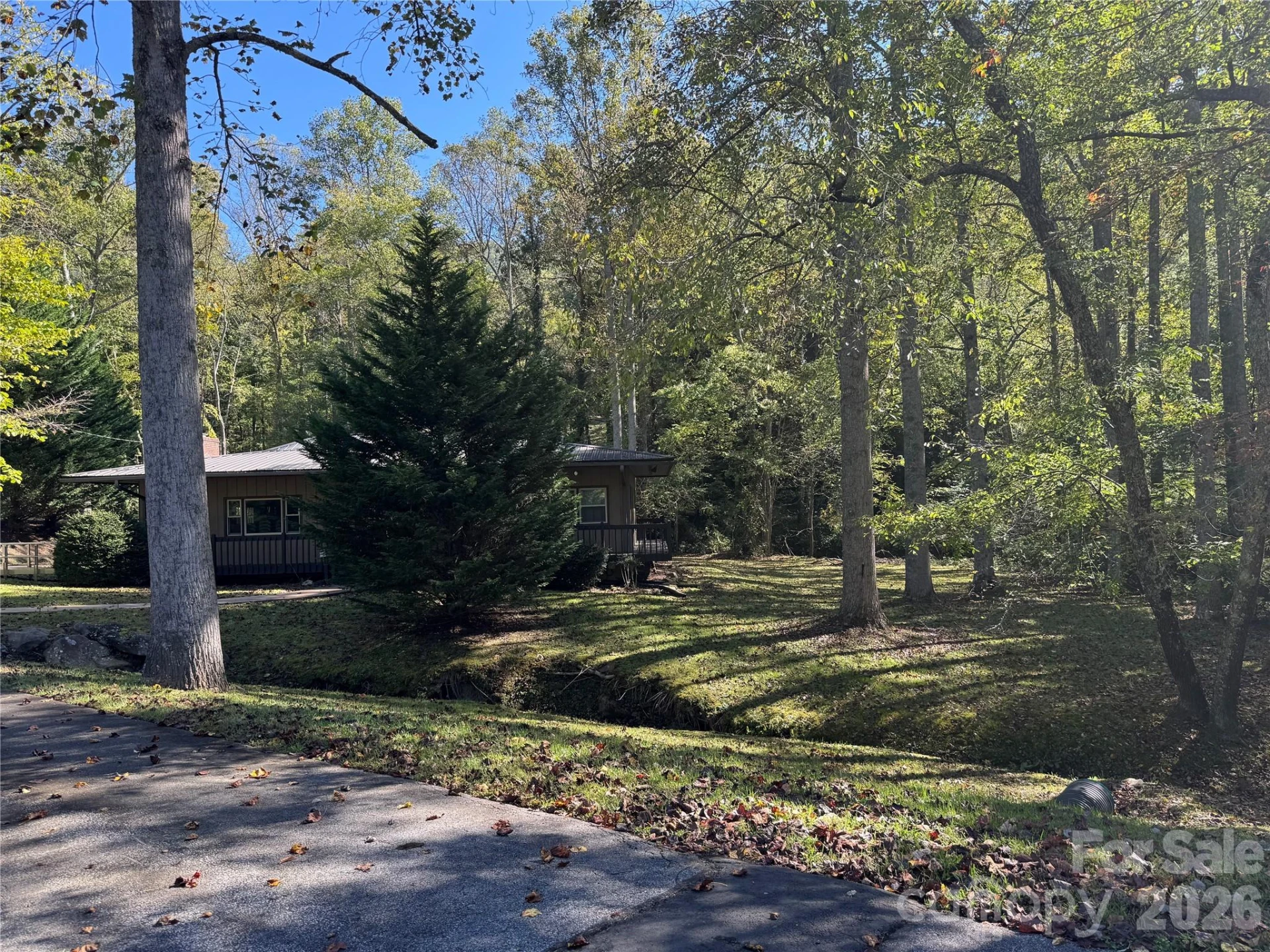 TBD Red Oak Forest Road - Photo 8