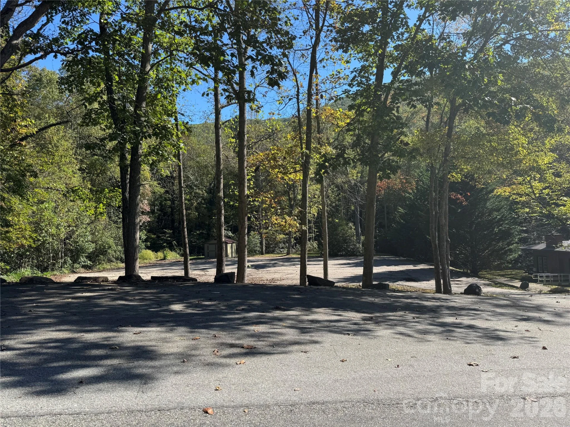 TBD Red Oak Forest Road - Photo 9