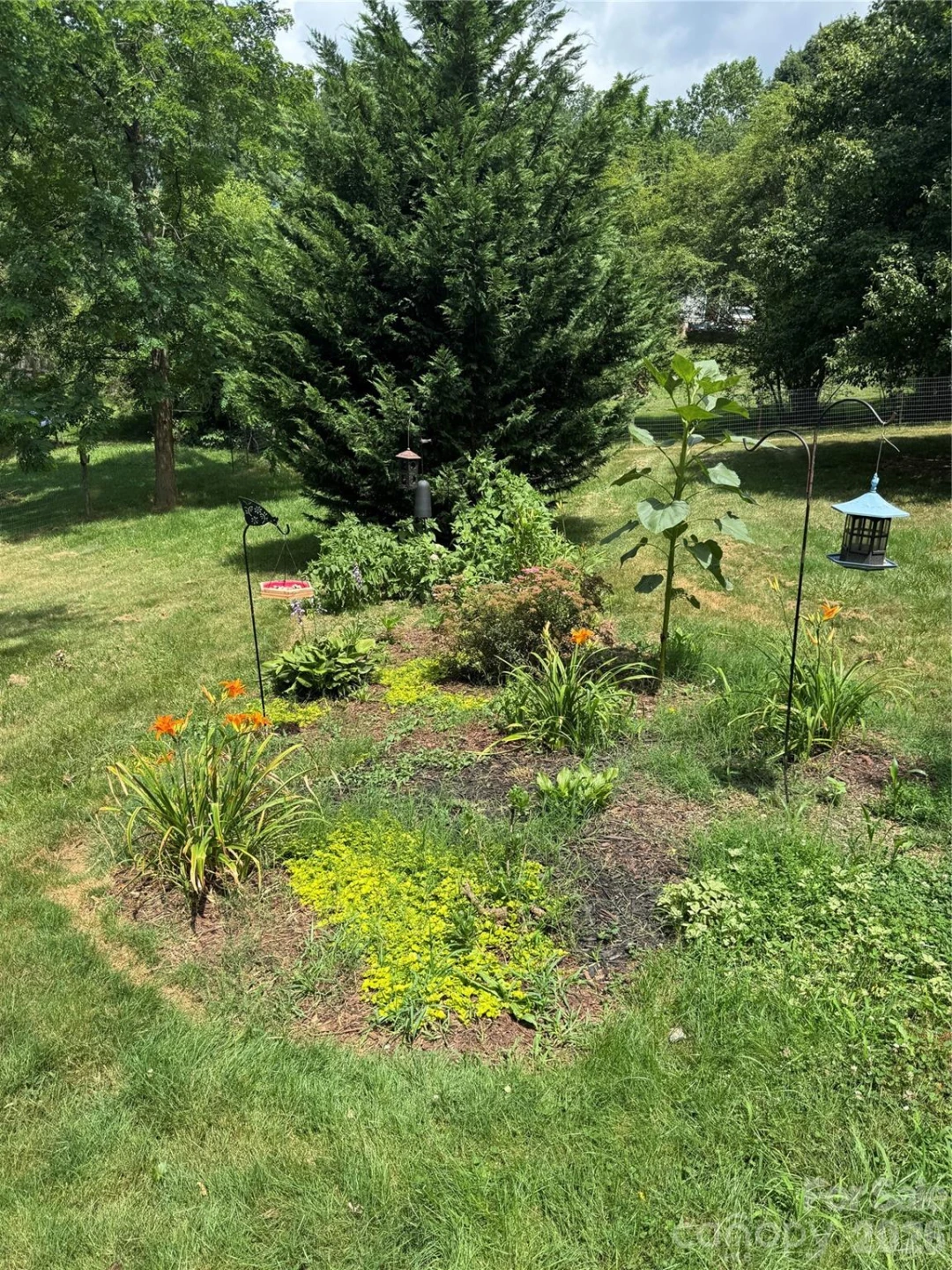 3 Odie Lane - Photo 22