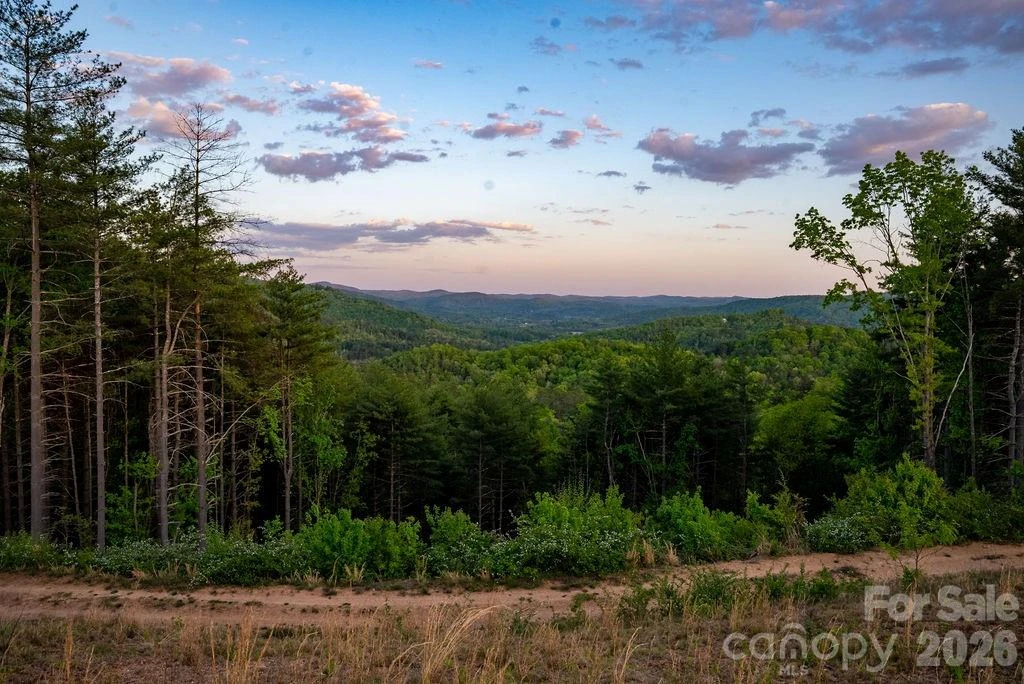 4454 Asheville Highway - Photo 35