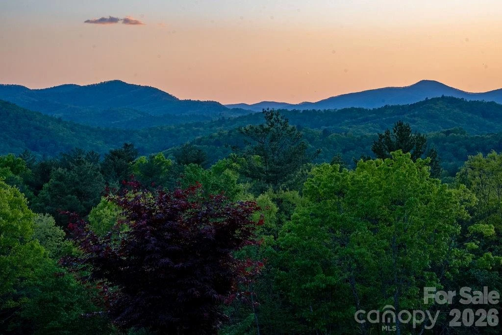 4454 Asheville Highway - Photo 38