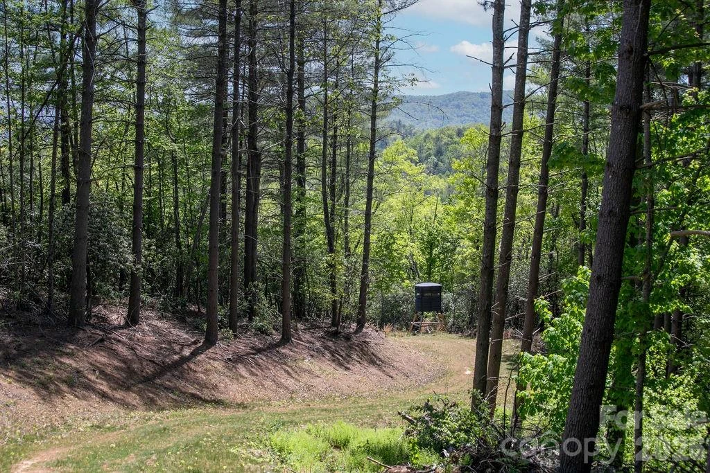 4454 Asheville Highway - Photo 42