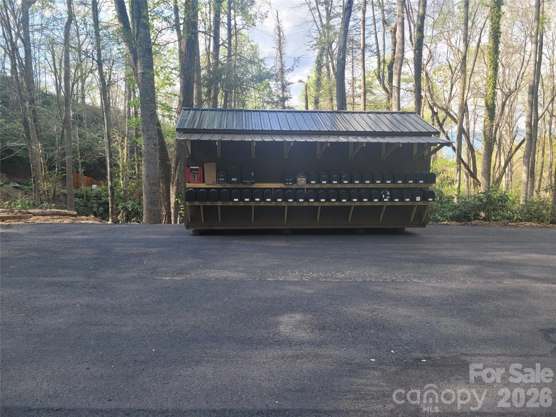 9999 Lytle Cove Road Road - Photo 2