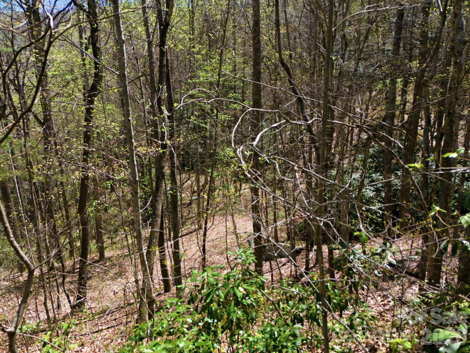9999 Lytle Cove Road Road - Photo 19