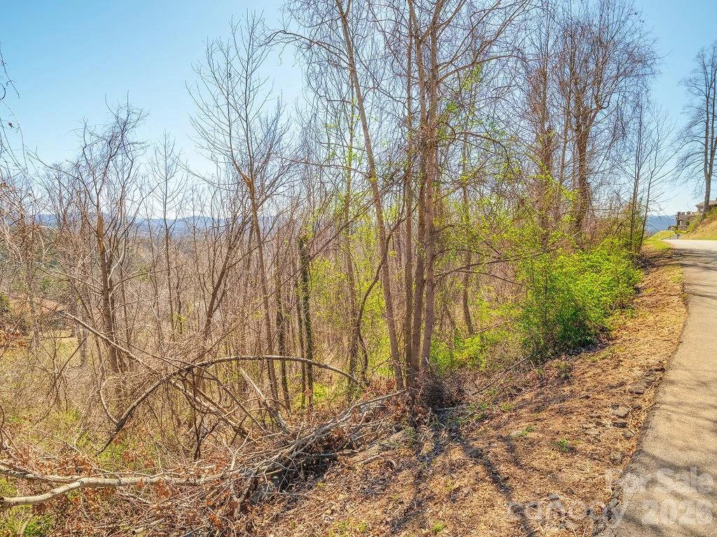 61 Ben Lippen School Road - Photo 3