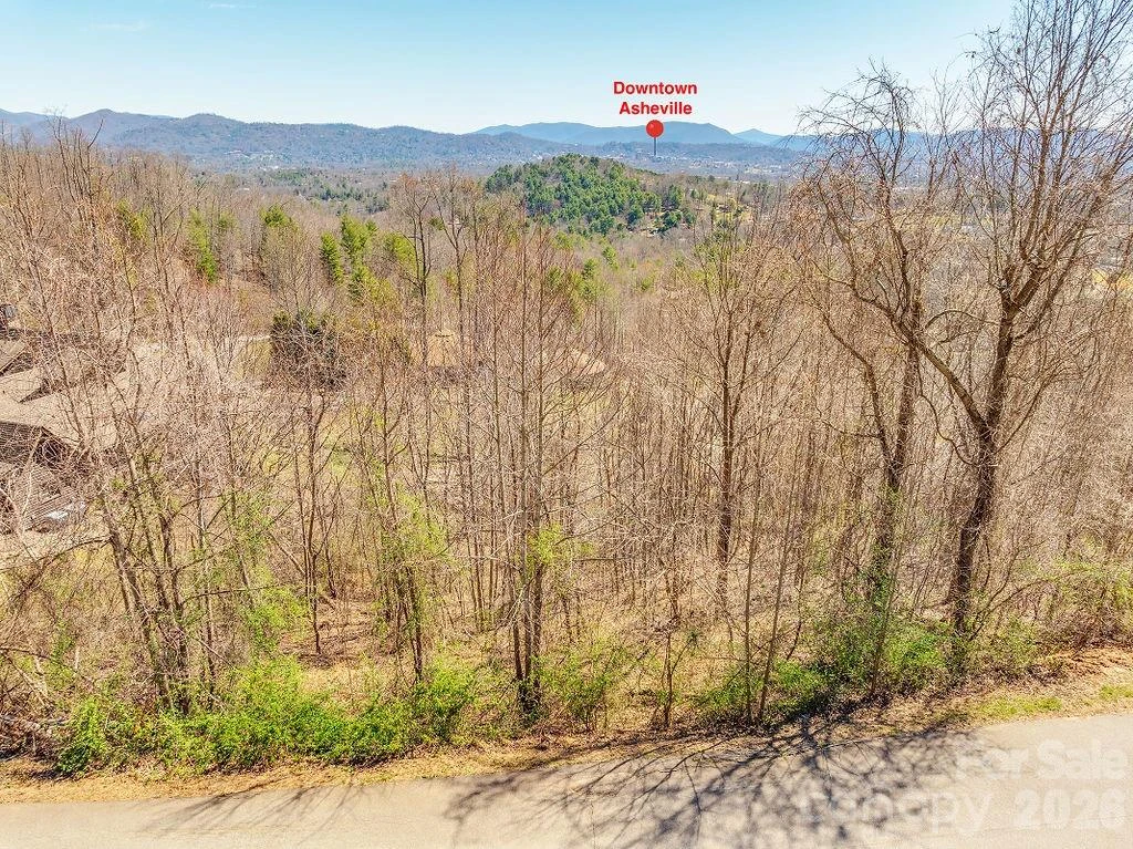 61 Ben Lippen School Road - Photo 5