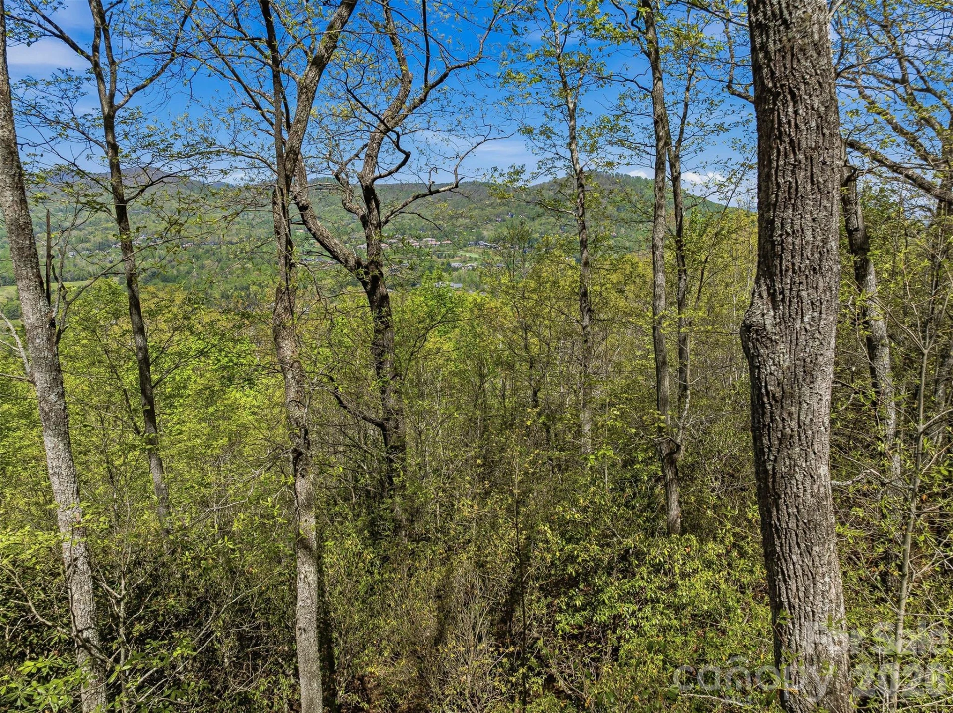27 Deer Grass Court - Photo 11
